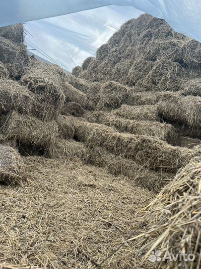 Сена - с авёс перемешка