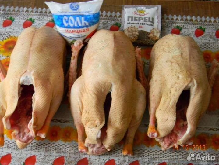 Мясо домашней утки