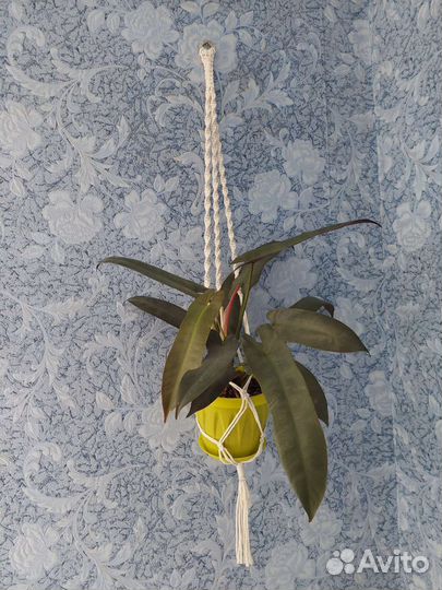 Подвесы для кашпо