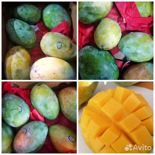 Манго в Новороссийске с доставкой
