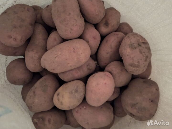Продукты питания