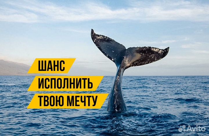 Тур к Китам в Териберке