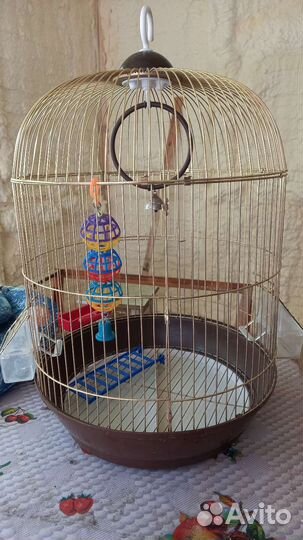 Клетка для попугая