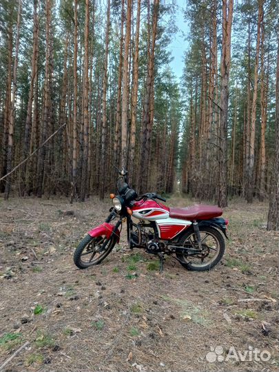 Альфа сити 110