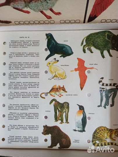 Настольная игра СССР