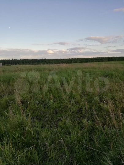 Участок 30 га (ИЖС)