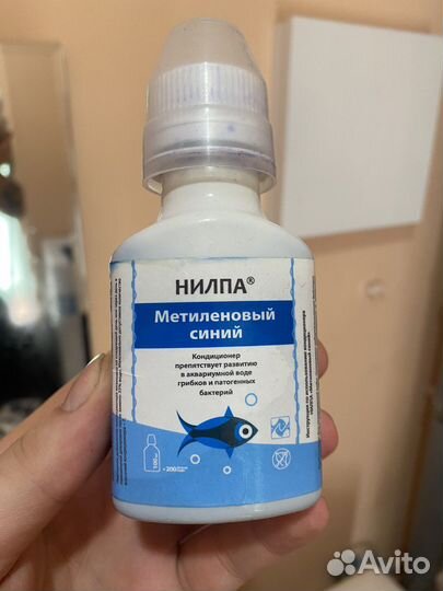 Аквариумные рыбки