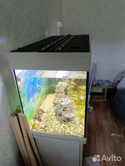 Аквариум Биодизайн Риф 125 с тумбой