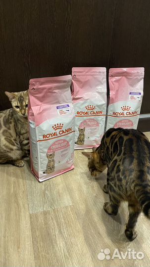 Корм для кошек royal canin sterilised 2 кг