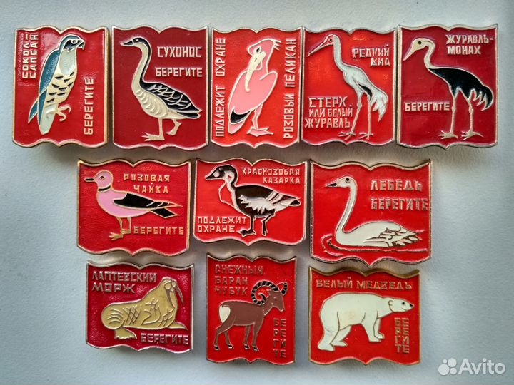 Зоопарк, животные, птицы, собаки и другое