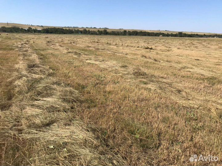 Село в луронах