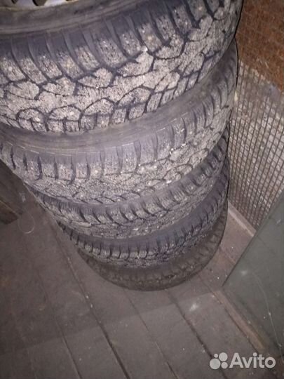 Gislaved Nord Frost 5 175/70 R13