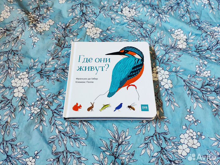 Где они живут