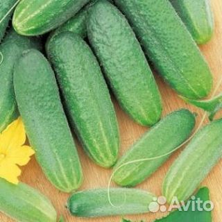 Семена огурцов, кабачков на развес