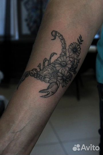 Требуется модель на тату