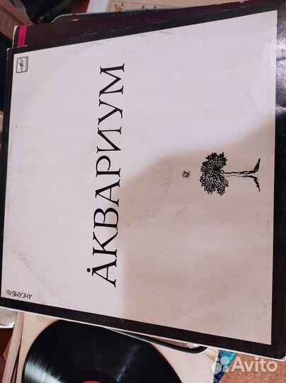 Виниловые пластинки рок