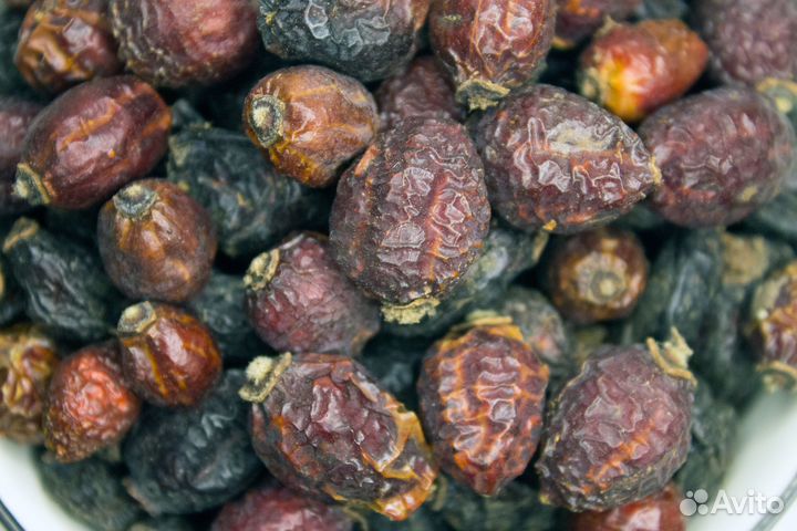 Шиповник сушеный