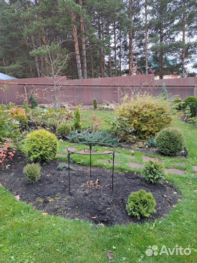 Кустодержатель