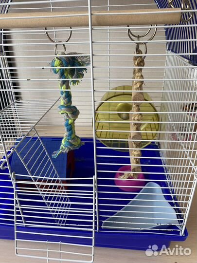 Клетка для грызунов