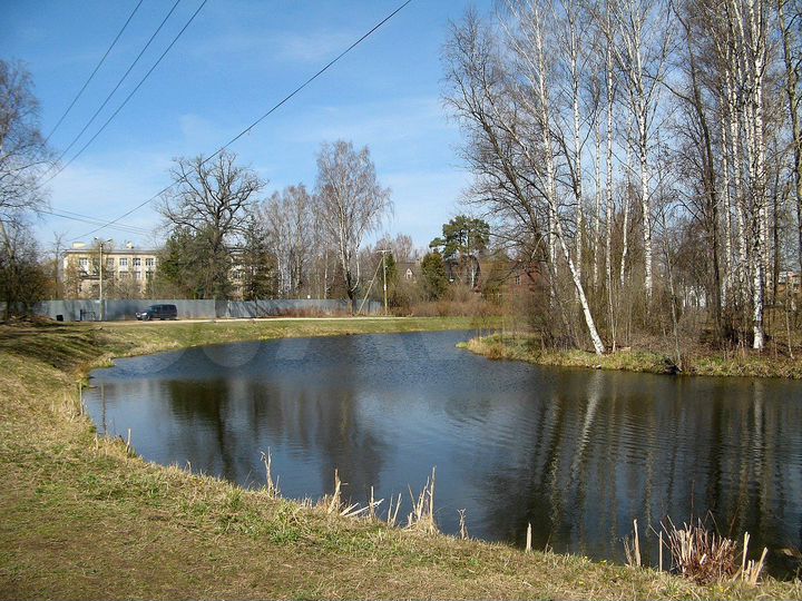 Участок 62 сот. (ИЖС)