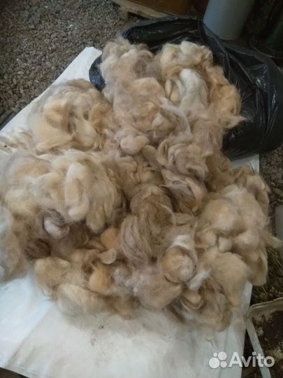 Собачья шерсть 2 килограмма