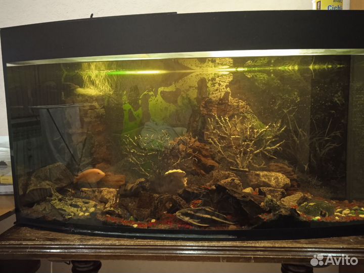 Аквариум