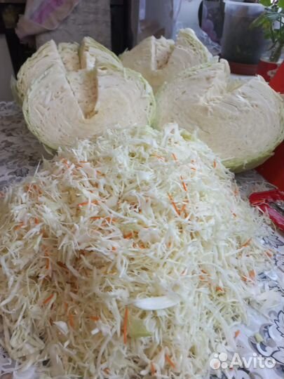 Капуста квашеная