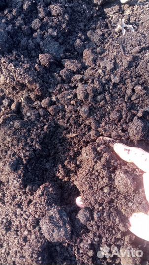 Перегной,навоз