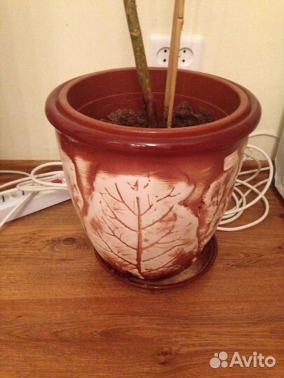 Напольный горшок кашпо