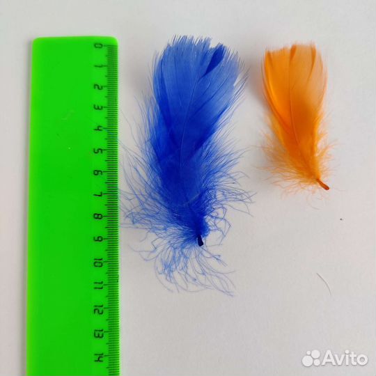 Перья декоративные разноцветные 100 штук