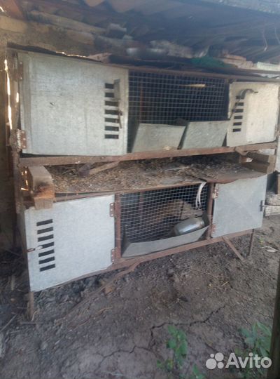 Для цеплят, кролики, и для