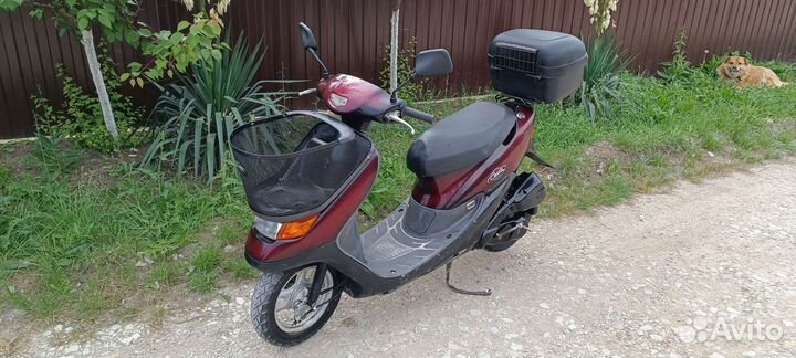Honda Dio Cesta AF34