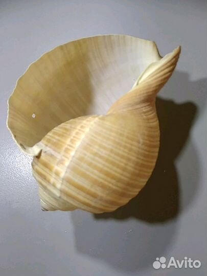 Аквариум аксессуары