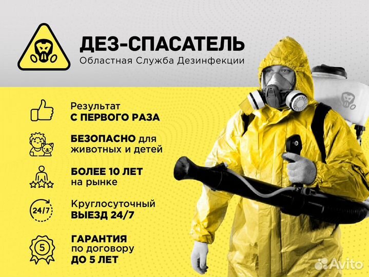 Уничтожение тараканов, клопов, грызунов и запахов