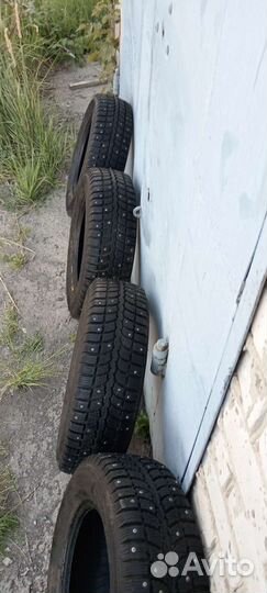 КАМА 505 Irbis 195/65 R15