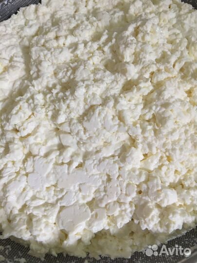 Домашний творог