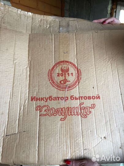 Инкубатор для яиц