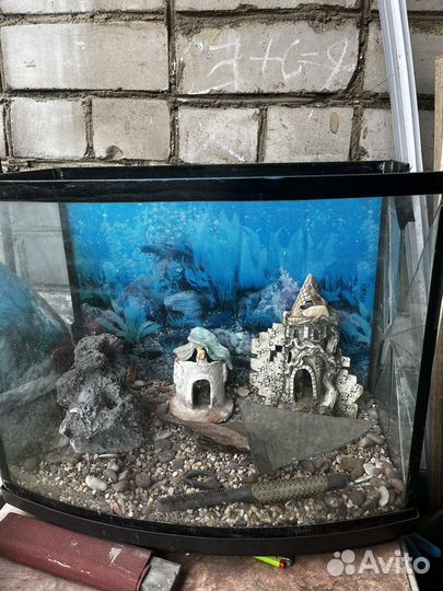 Аквариум
