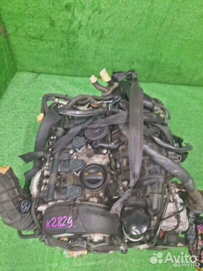 Двигатель audi A5 8TA caeb 2010