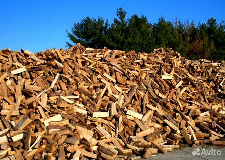 Дрова в СПБ