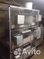 Большая Клетка для кроликов