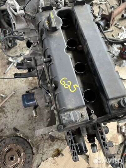 Ford focus 3 1.6 125 л двигатель