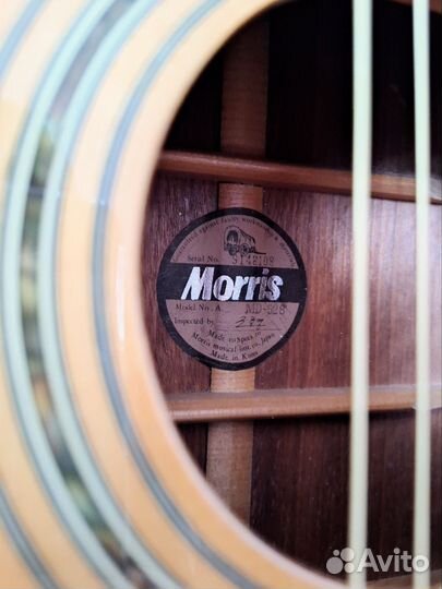 Акустическая гитара Morris MD-528