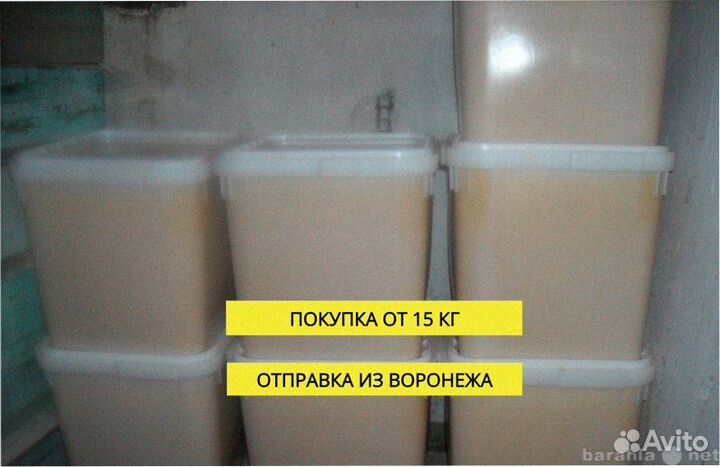 Мед оптом урожай 2023