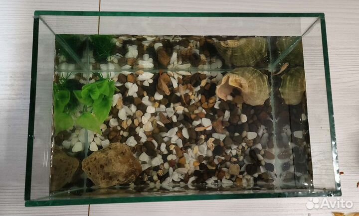 Аквариум