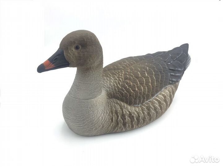 Чучела гусей