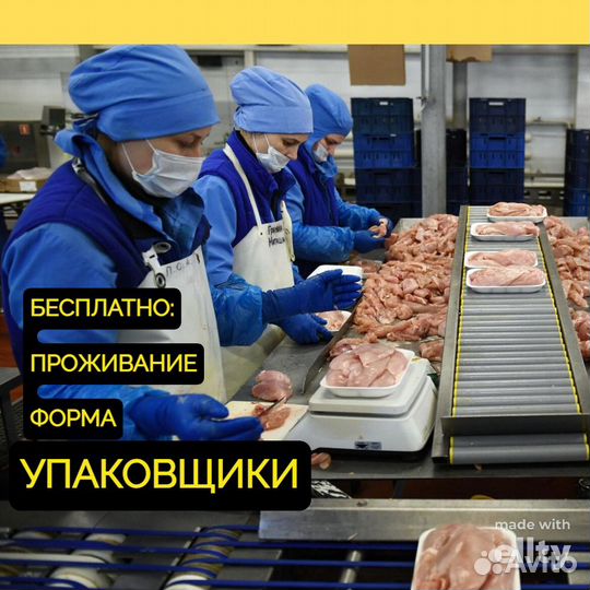 Упаковщик. Вахта. Всё включено