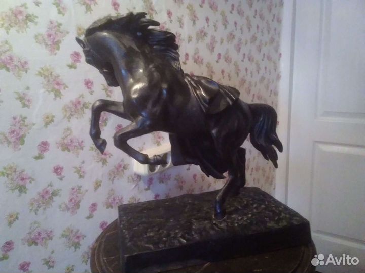 Конь с попоной