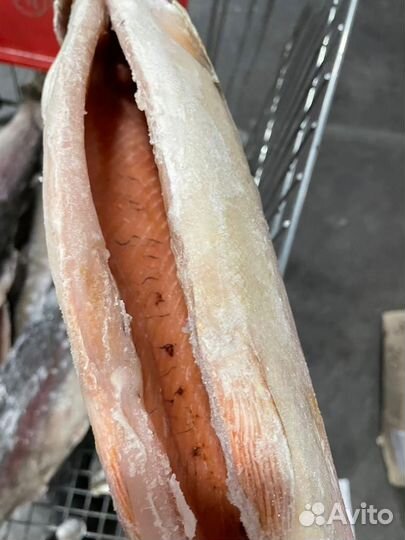 Форель оптом