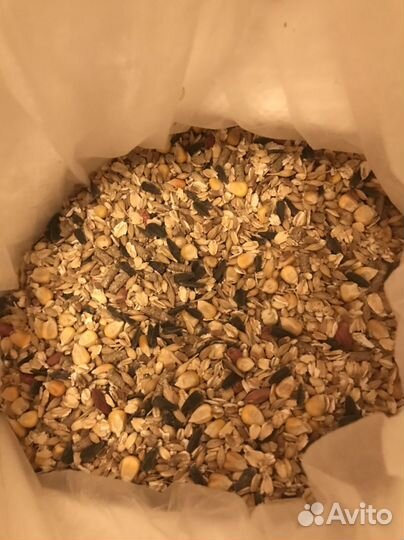 Зерно для грызунов